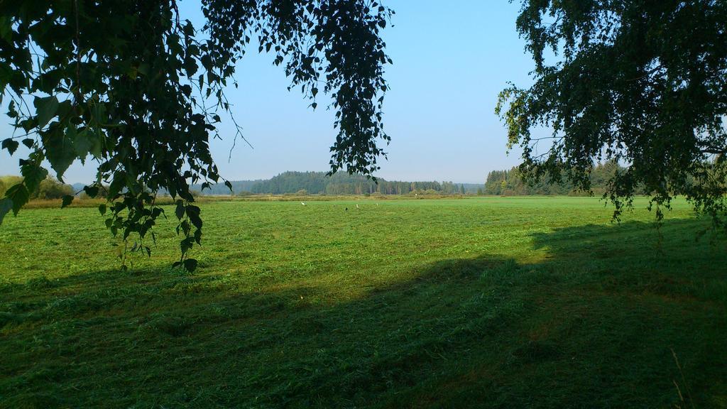 Hotel Garni Isny im Allgäu Buitenkant foto