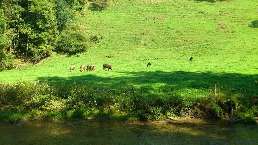 Hotel Garni Isny im Allgäu Buitenkant foto